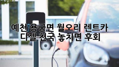 예천 용궁면 월오리 렌트카🚗 디젤 천국! 놓치면 후회💥
