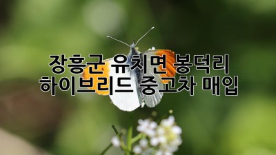 장흥군 유치면 봉덕리 하이브리드 중고차 매입